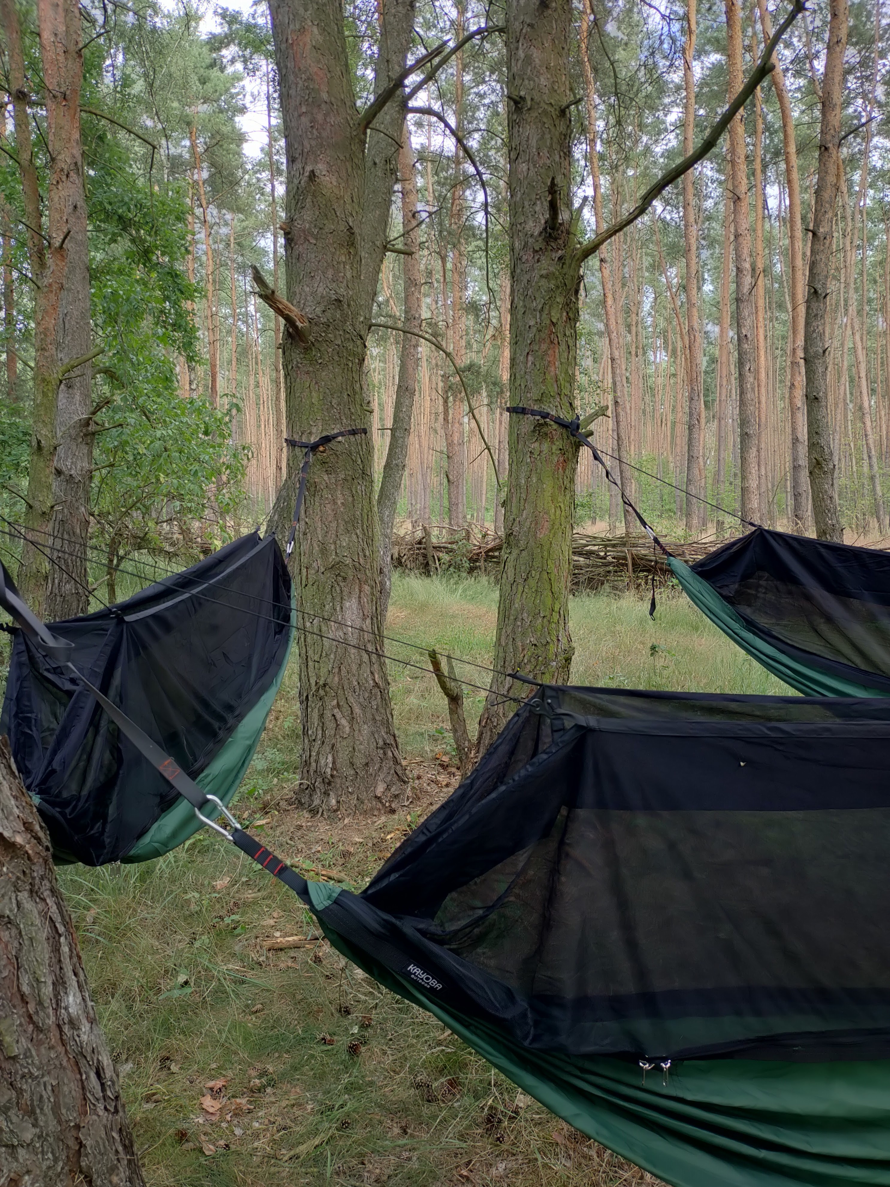 Oryginalne noclegi w Polsce - leśne nocowanie w hamakach