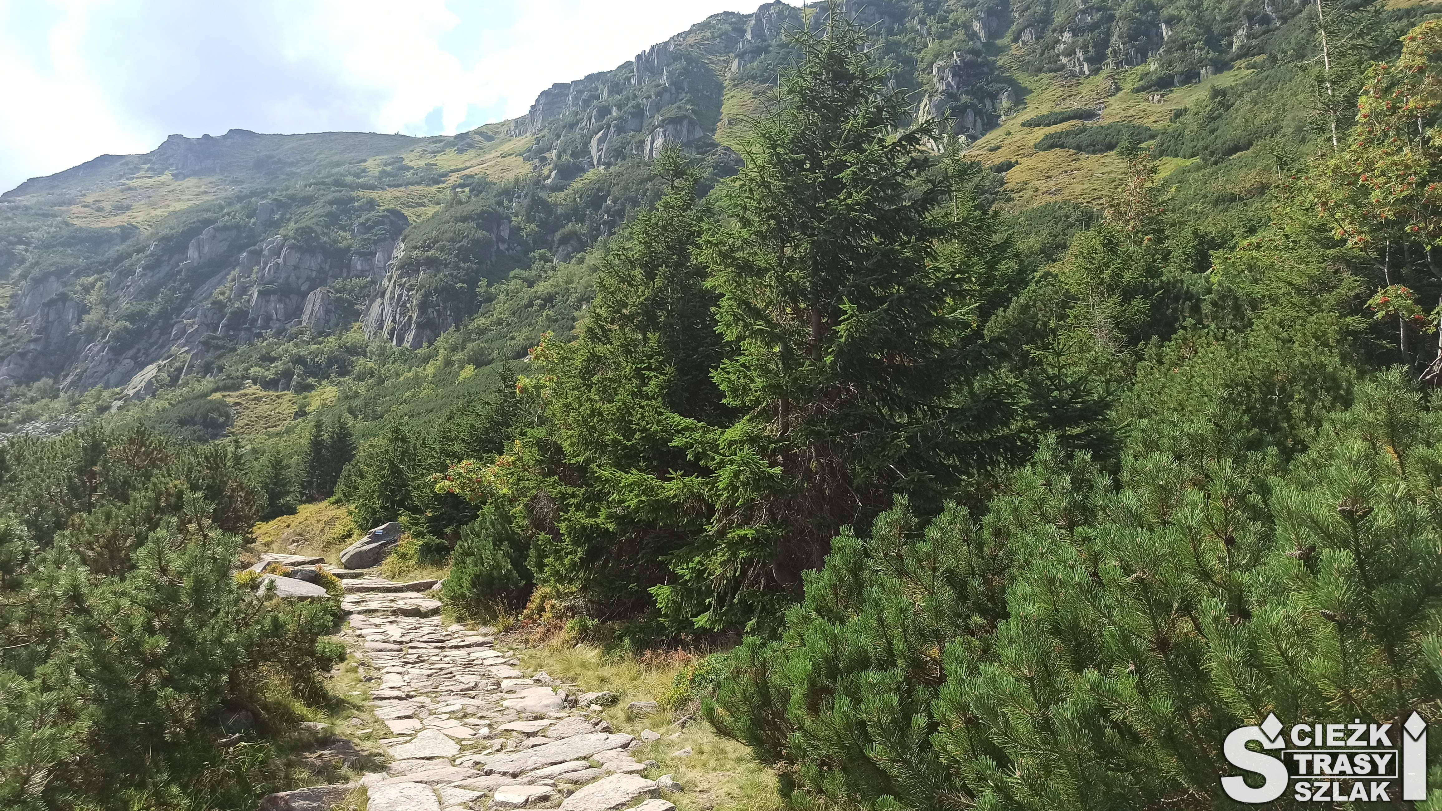 Wąska ścieżka z kamieni przy górskim zboczu porośniętym roślinami z widokiem na Karkonosze