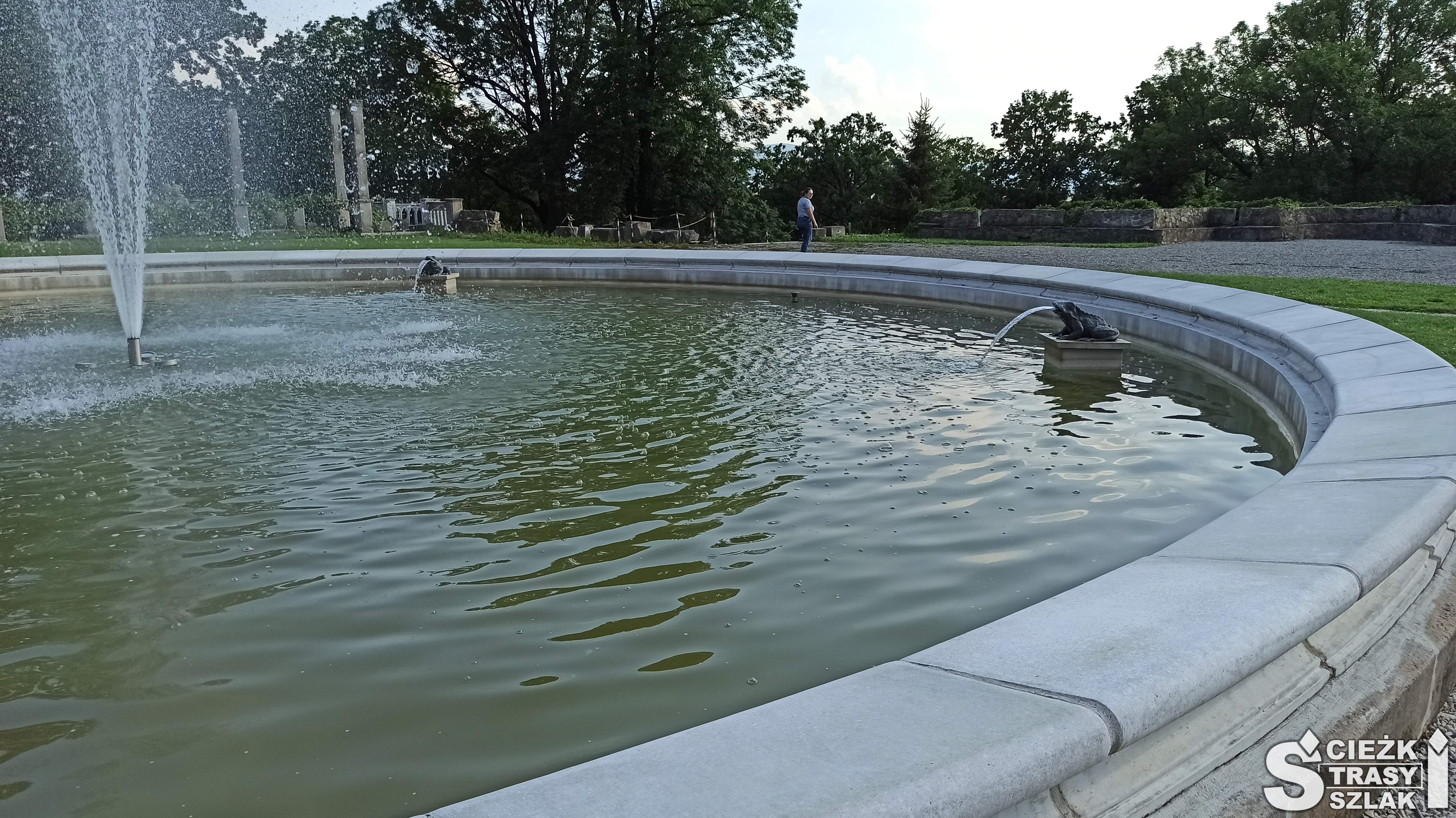 Duże przybliżenie na falującą wodę i żabę wypluwającą strumień wody w okrągłej fontannie Pałacu Ząbkowickiego