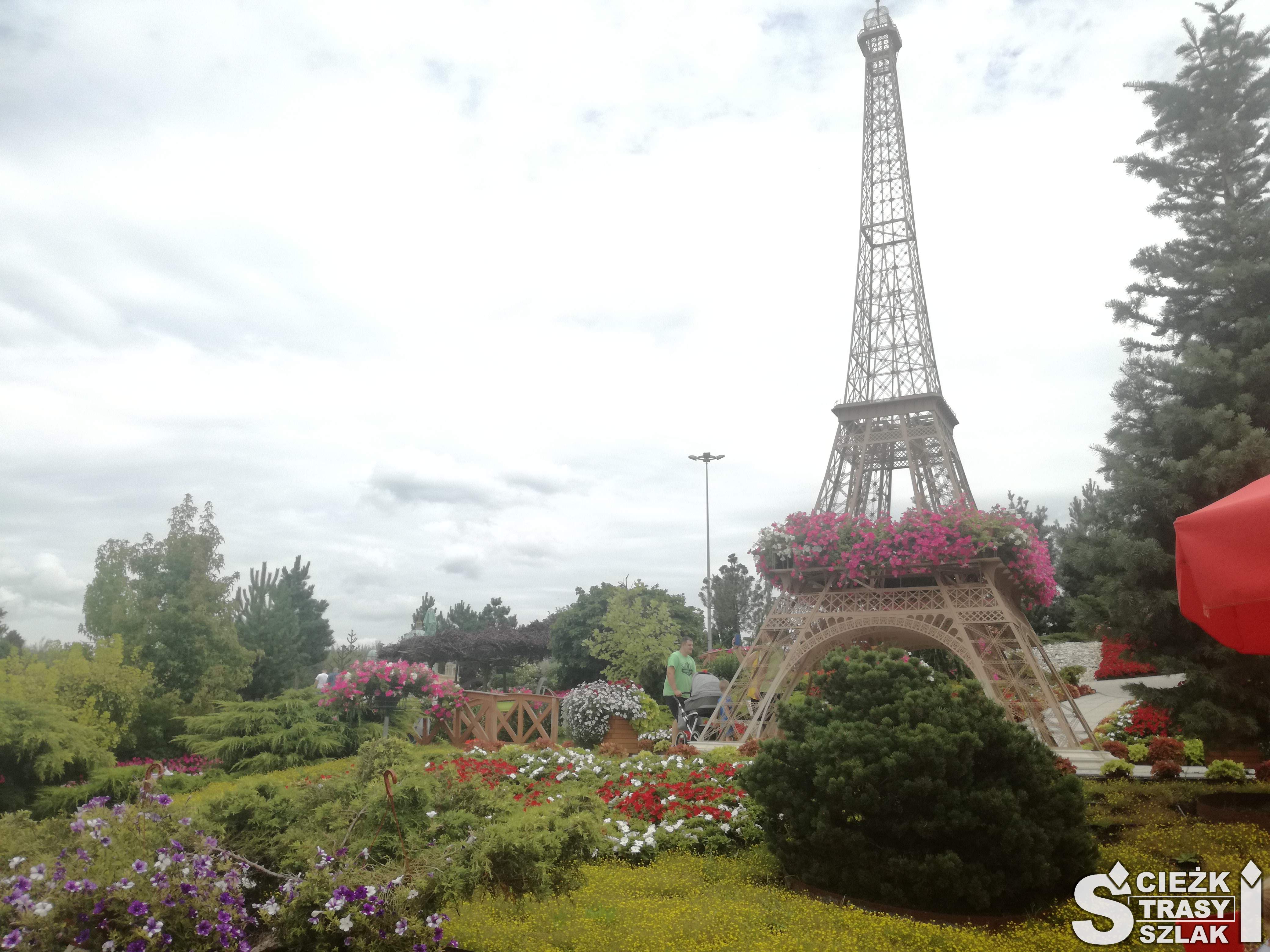 Wysoka Wieża Eiffla w arboretum w Kłodzku zminiaturyzowana do kilkunastu metrów w otoczeniu kwiatów