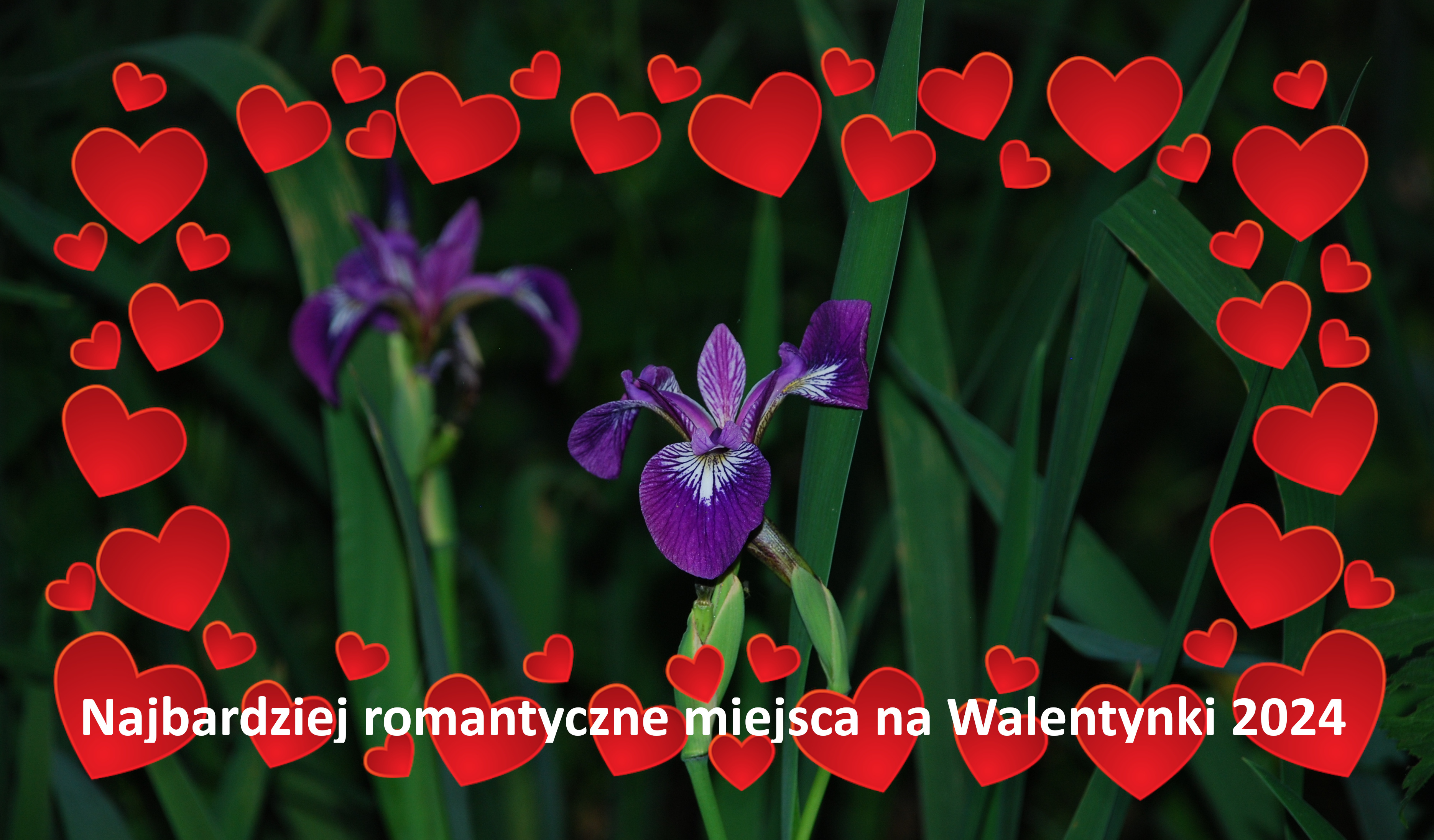Najbardziej romantyczne miejsca na weekend we Dwoje i randkę w Walentynki 2024