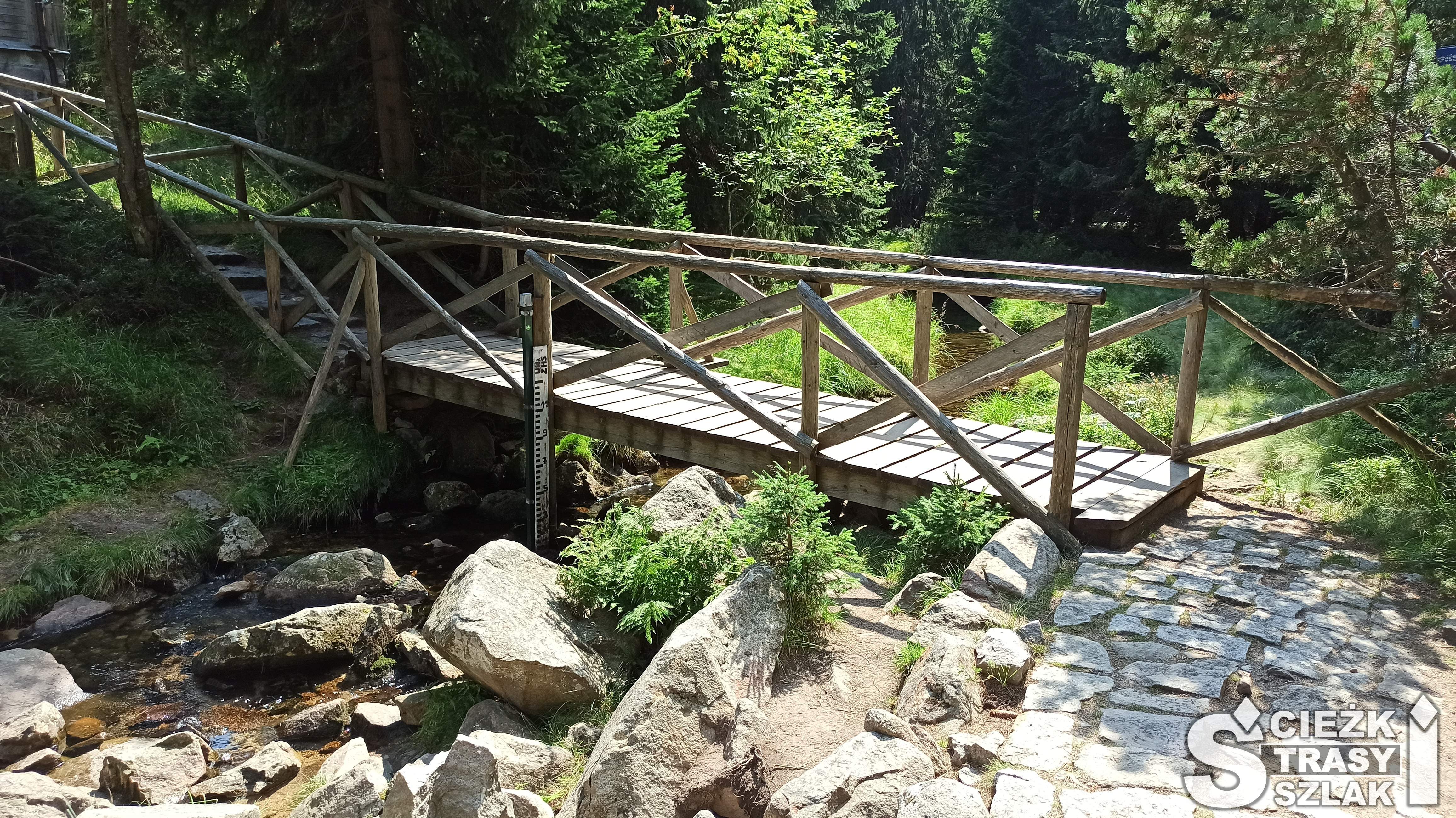 Drewniany mostek przez górski strumyk na tle drzew na ścieżce leśnej w stronę schroniska Samotnia