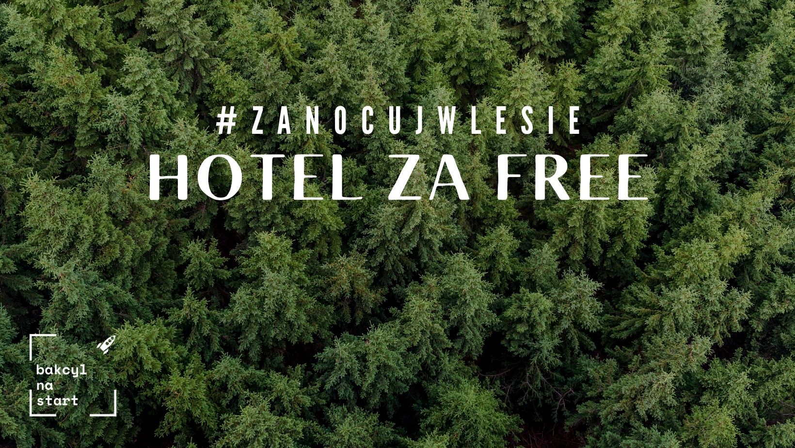Hotel za free (#zanocujwlesie)