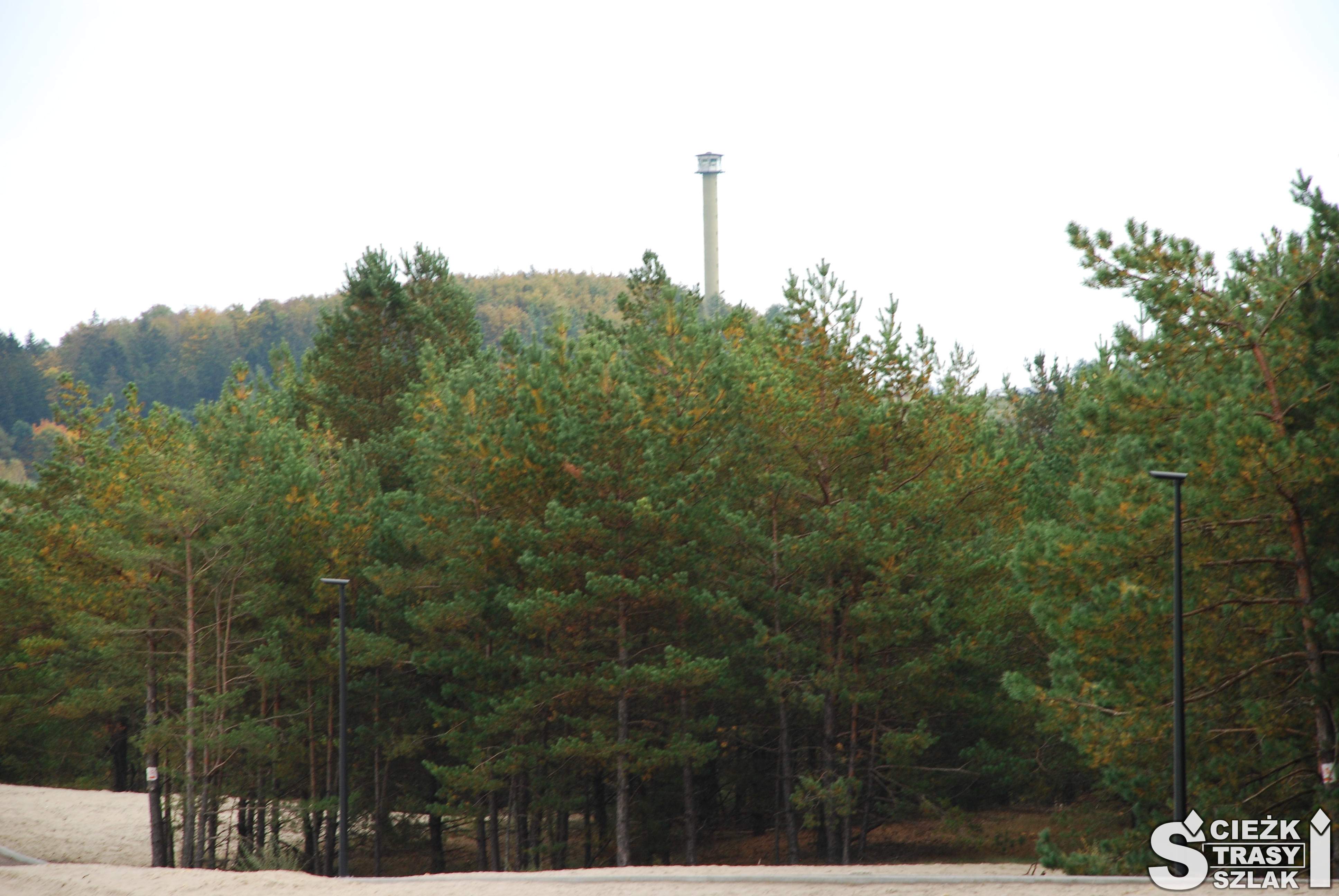 Wysoka wieża przeciwpożarowa ponad koronami drzew na wzgórzu Czubatka