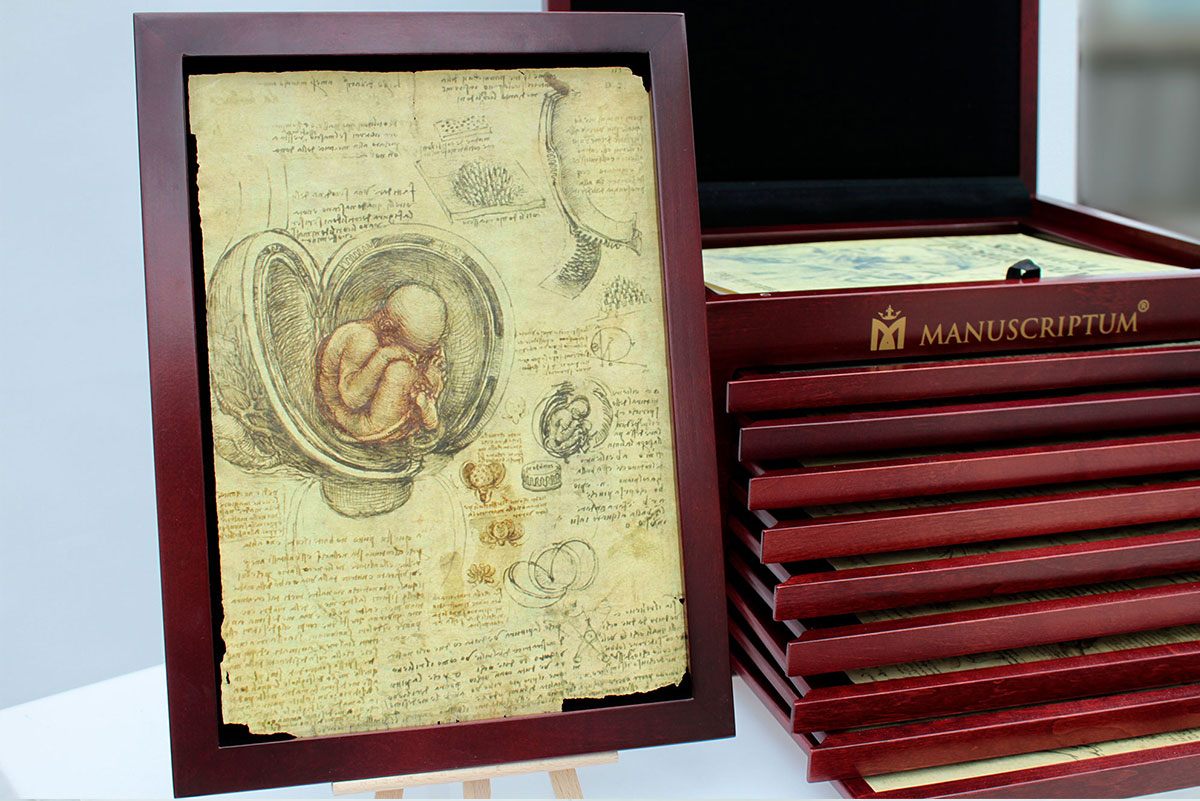 Szkice Anatomiczne | Leonardo da Vinci | SERIA I