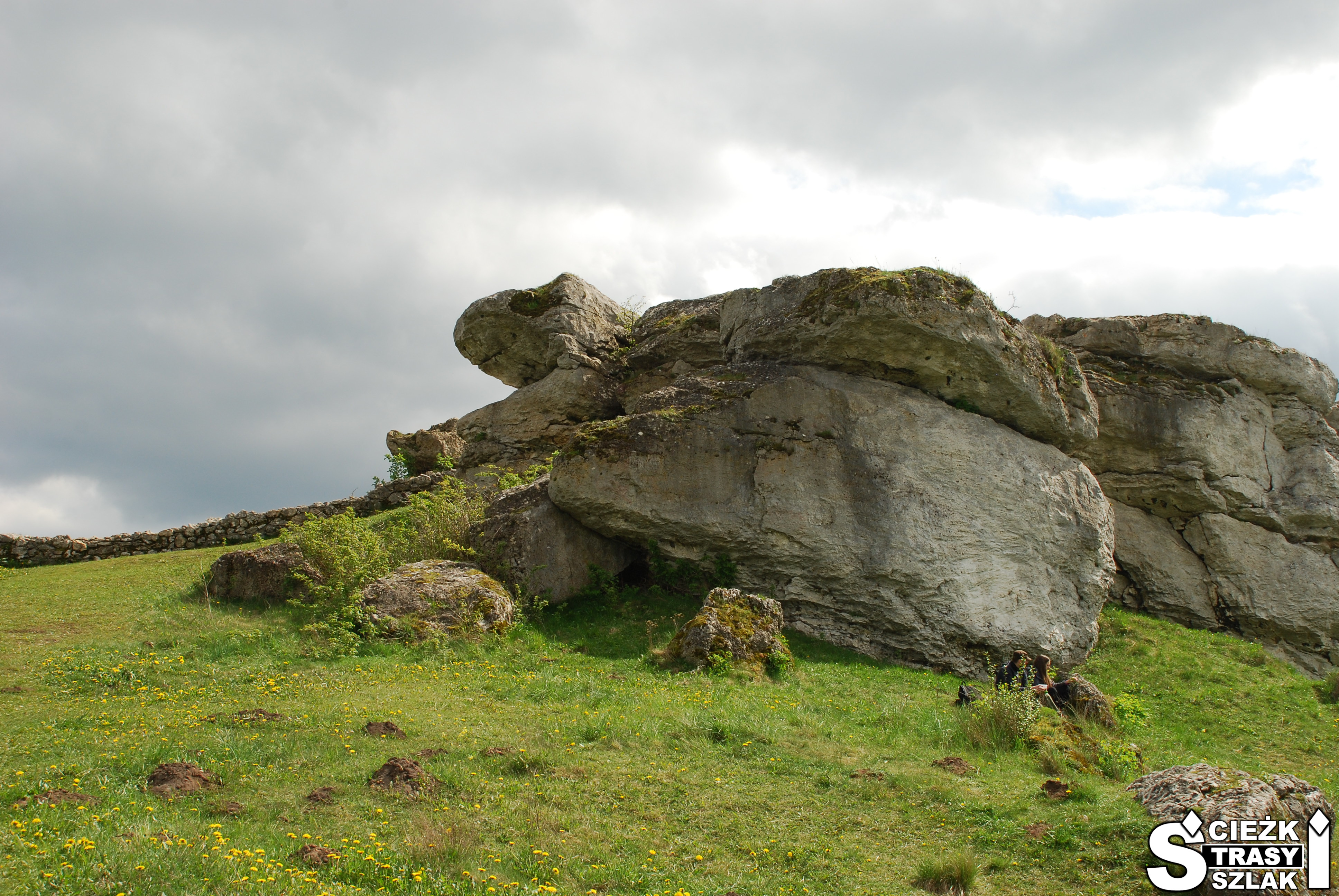 Duże skały wapienne na wzgórzu zamkowym przy ruinach zamku w Olsztynie w kształcie żółwia