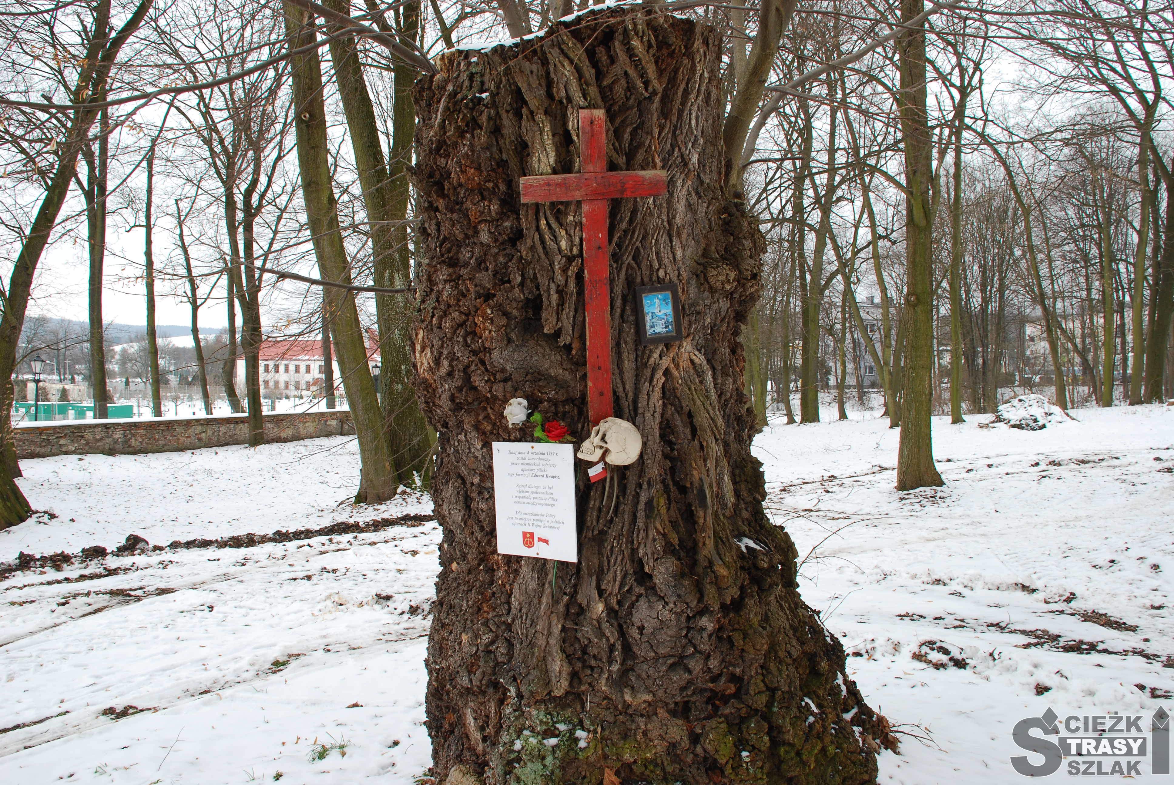 Miejsce pamięci narodowej o ofiarach II wojny światowej na terenie założenia pałacowo-parkowego w Pilicy