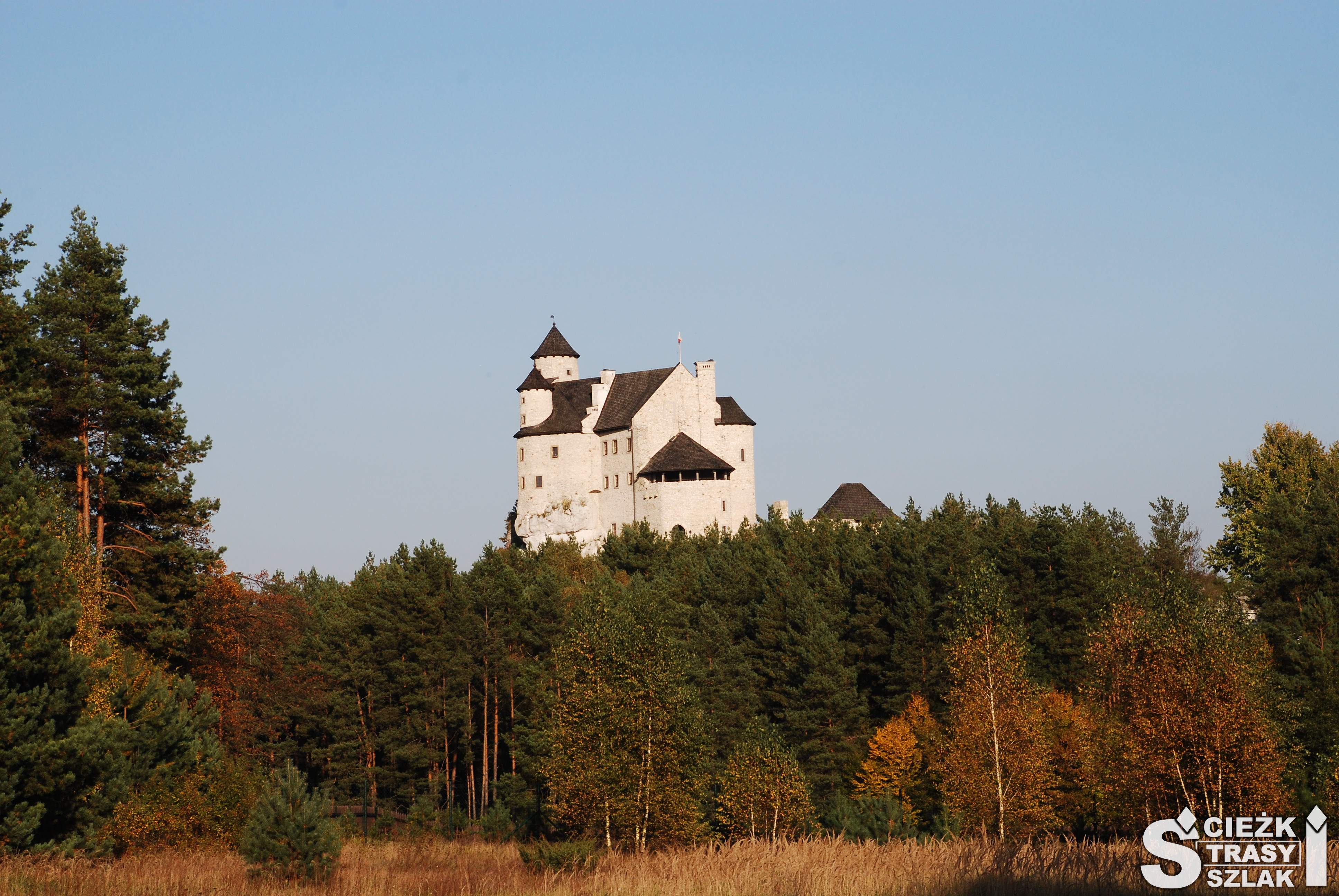 Górujący nad konarami drzew w jesiennym klimacie Zamek Bobolice widziany z Błoni zamkowych