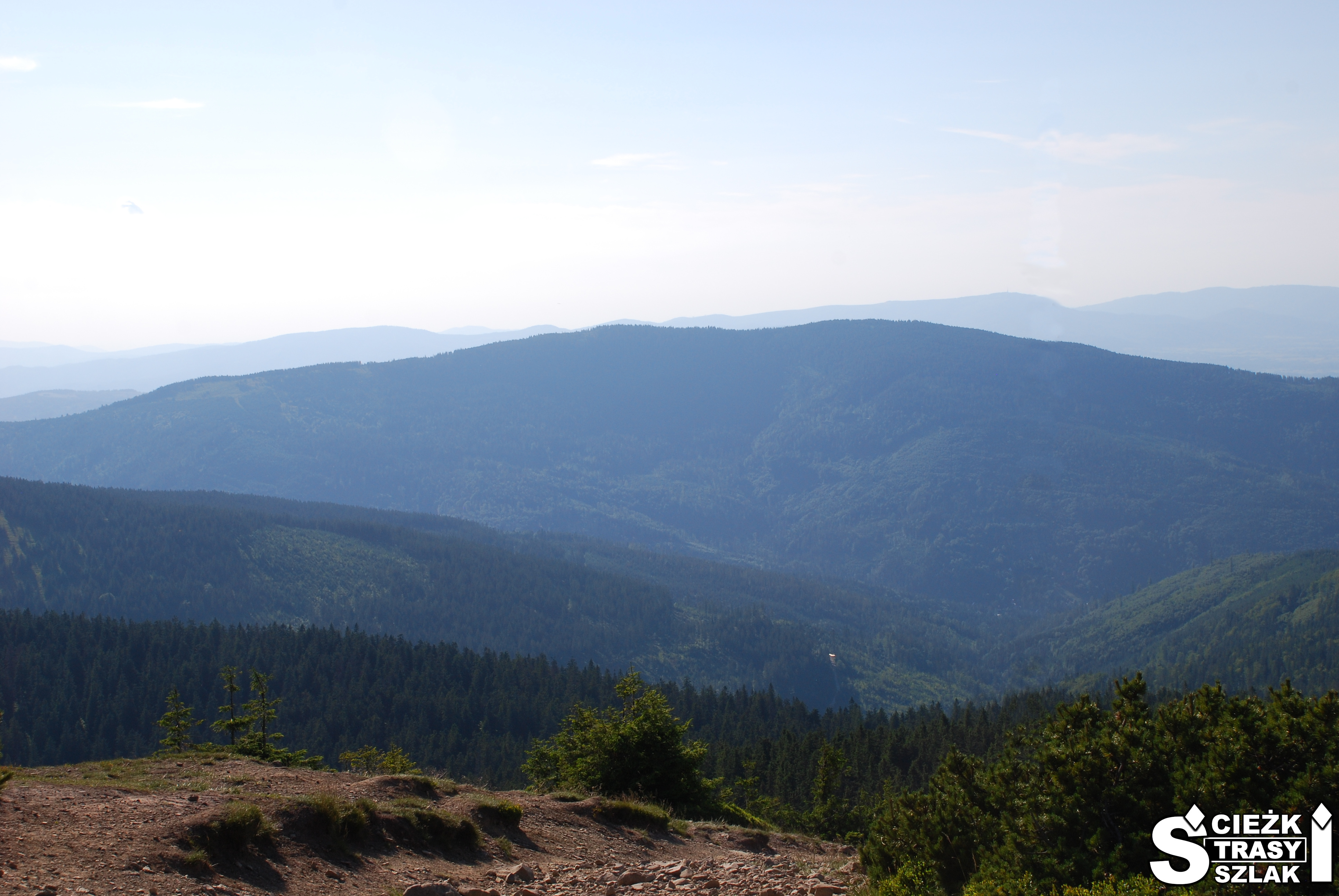 Pejzaż górski na granicy polsko-słowackiej ze szczytu Góry Pilsko porośniętego kosodrzewiną i trawą