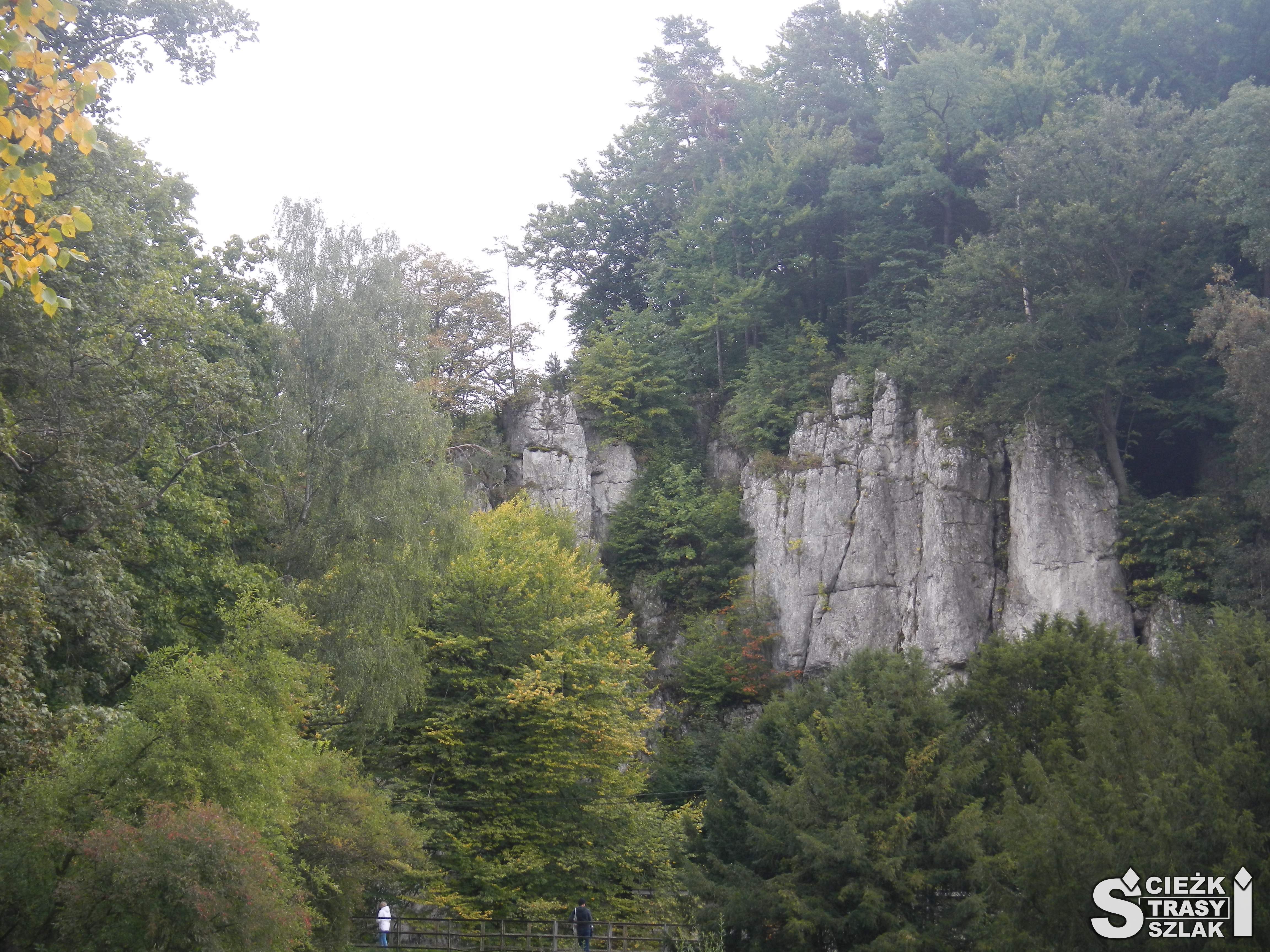 Wysokie skały wapienne wśród drzew na trasie turystycznej z zamku w Ojcowie do pieskowej skały