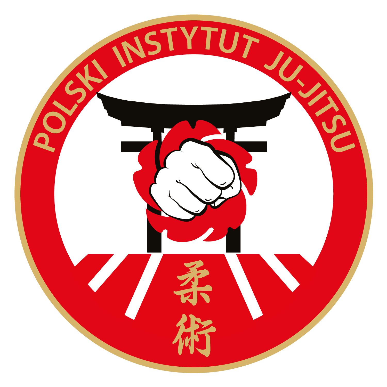 Polski Instytut Ju-Jitsu