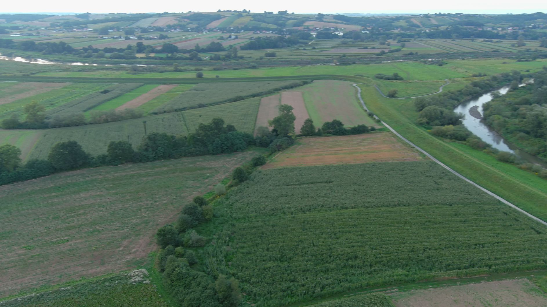 widok z drona, pola, rzeki, Wisła, Raba