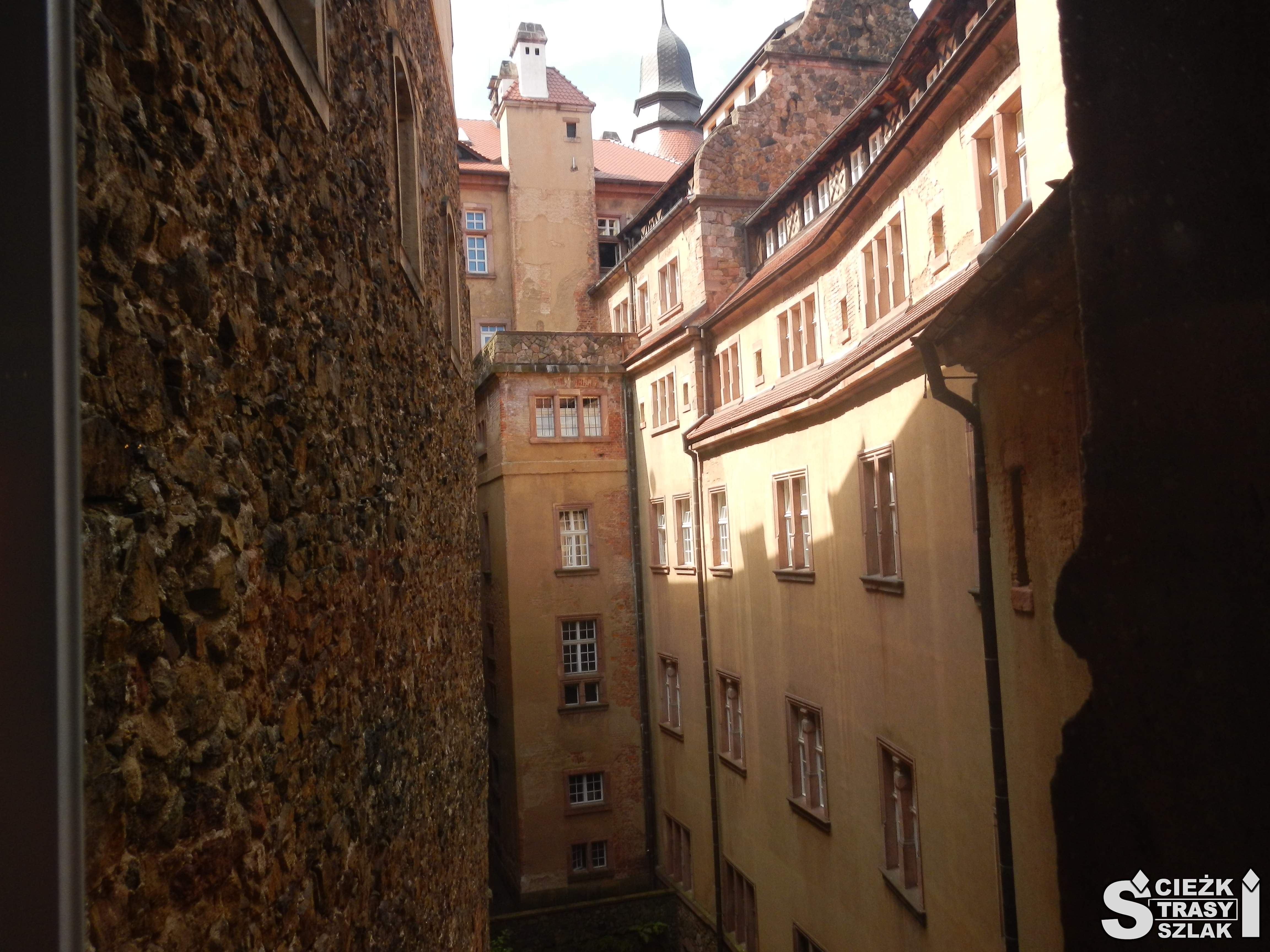 Wijący się bluszcz po ścianie z oknami wielokondygnacyjnego budynku Zamku Książ