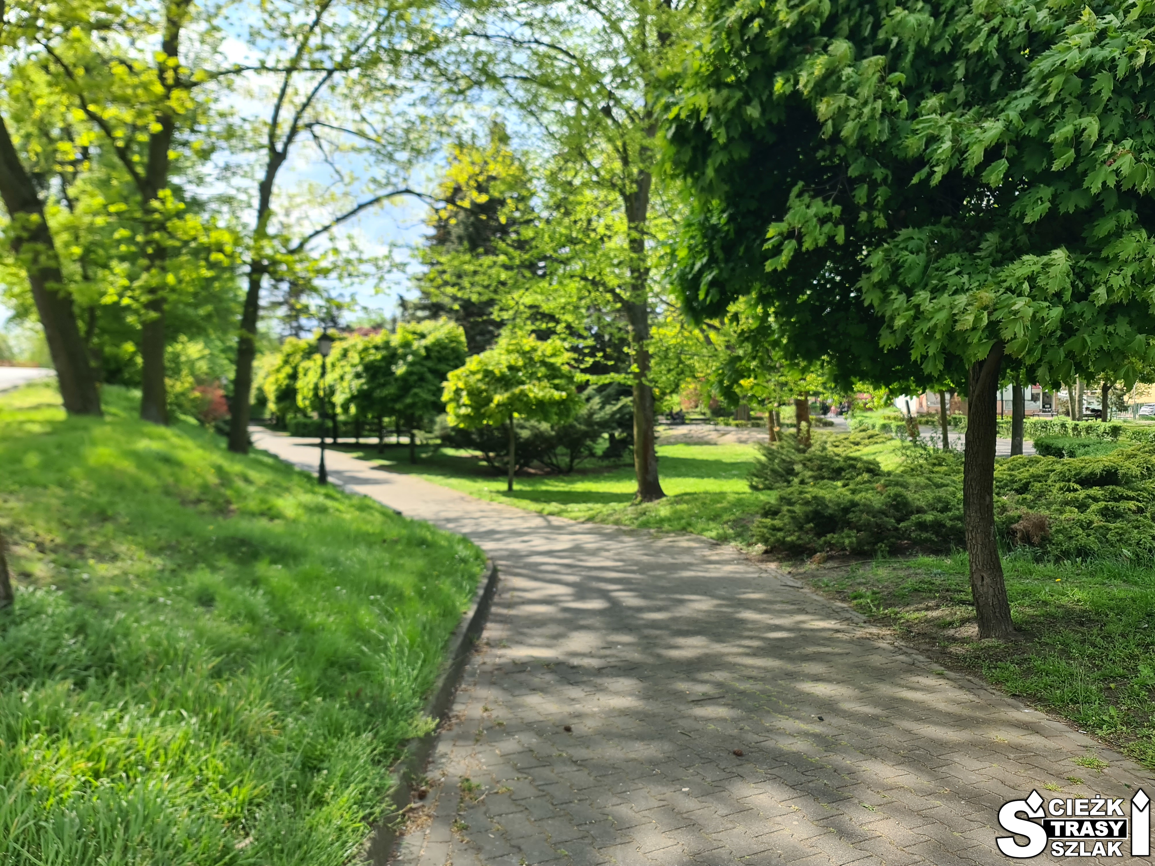 Chodnik biegnący przez park miejski - Chopina w Świebodzinie, otoczony drzewami i krzewami