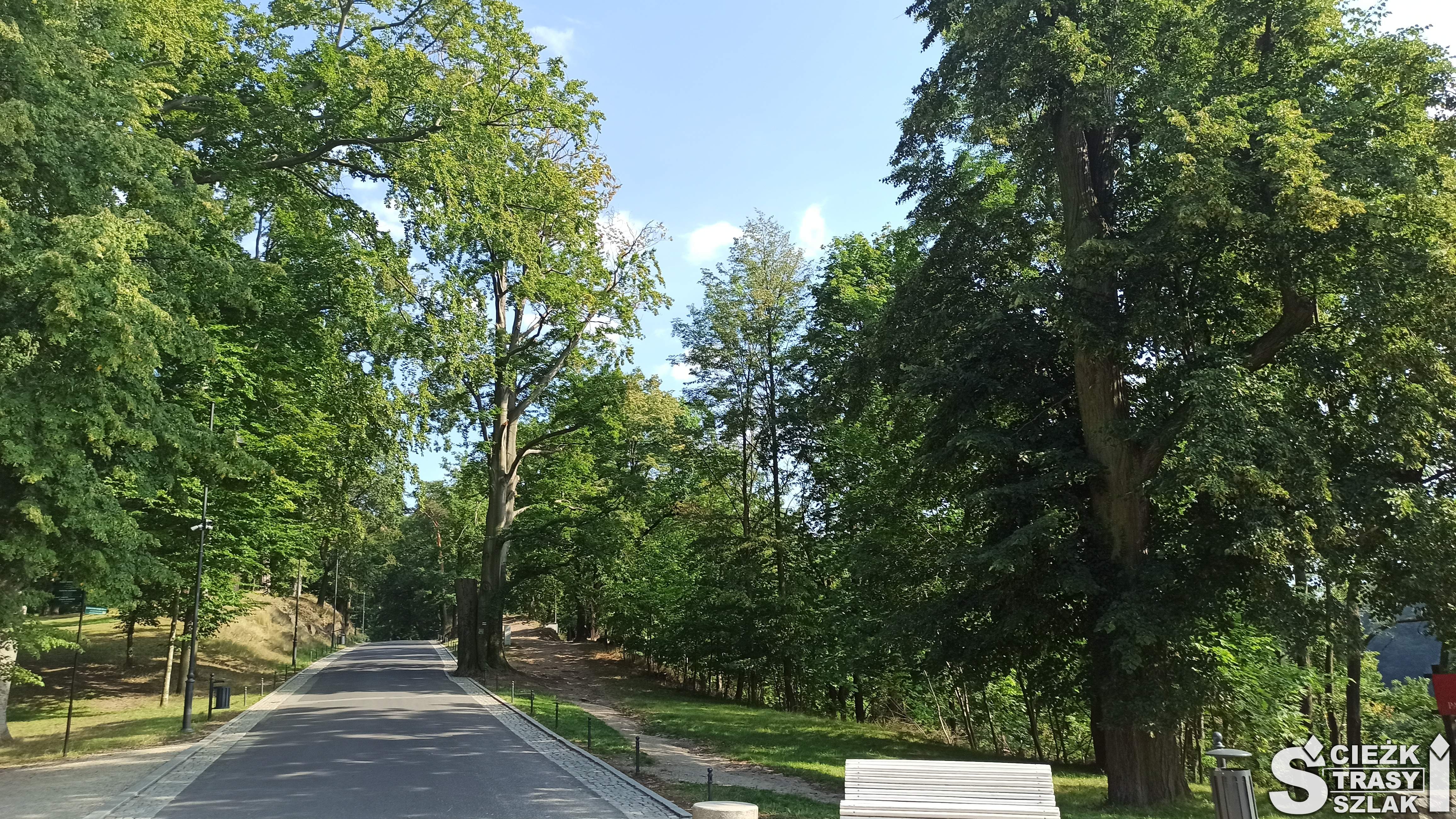 Asfaltowa ścieżka piesza na szlaku dydaktyczno-edukacyjnym po parku przy Zamku Książ
