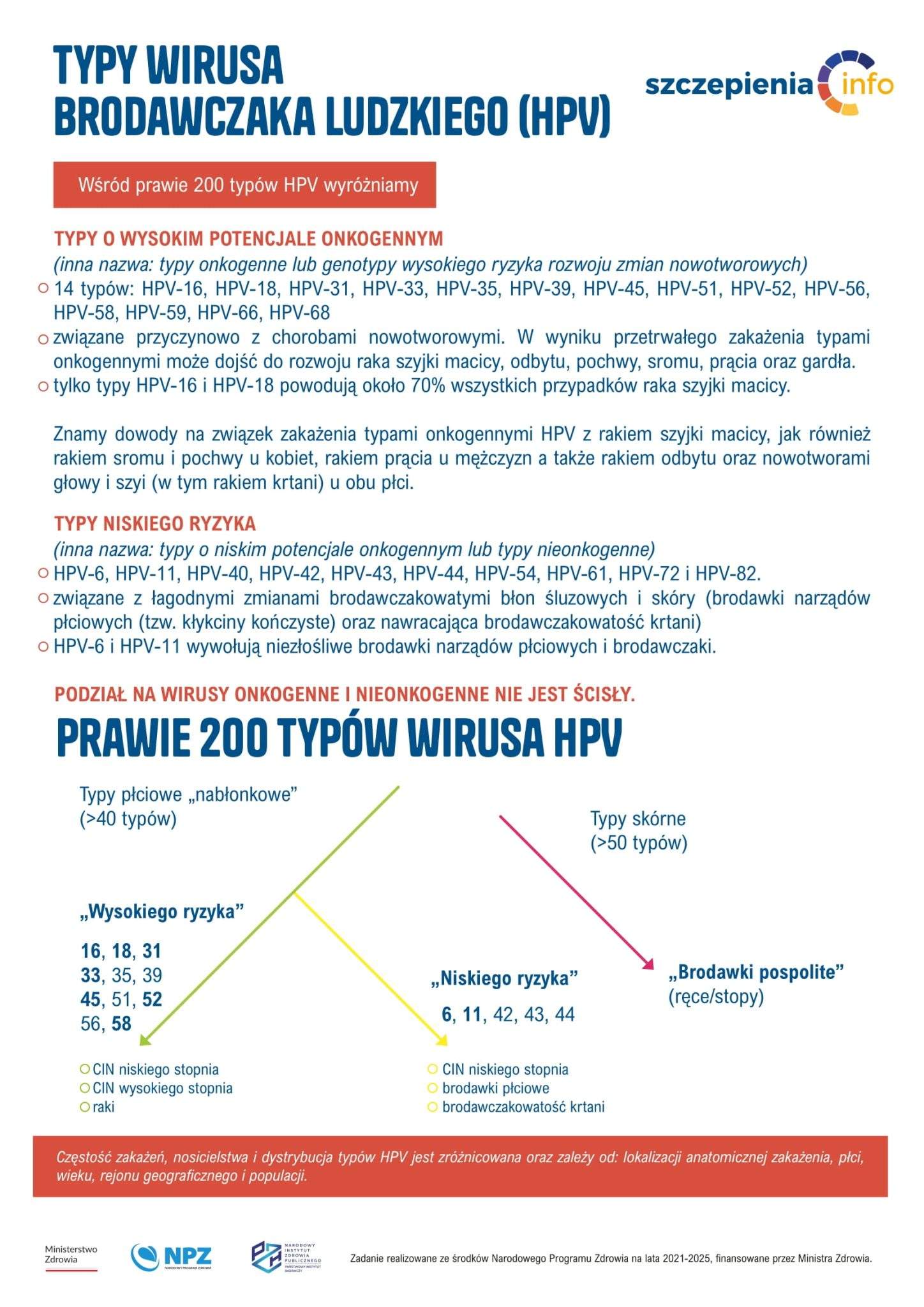 Typy wirusa brodawczaka lydzkiego (HPV)
