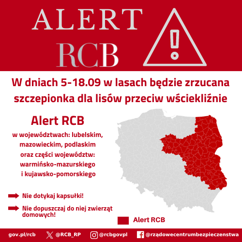 W dniach 5-18.09.2024r. w lasach będzie zrzucana szczepionka dla lisów przeciw wściekliźnie.