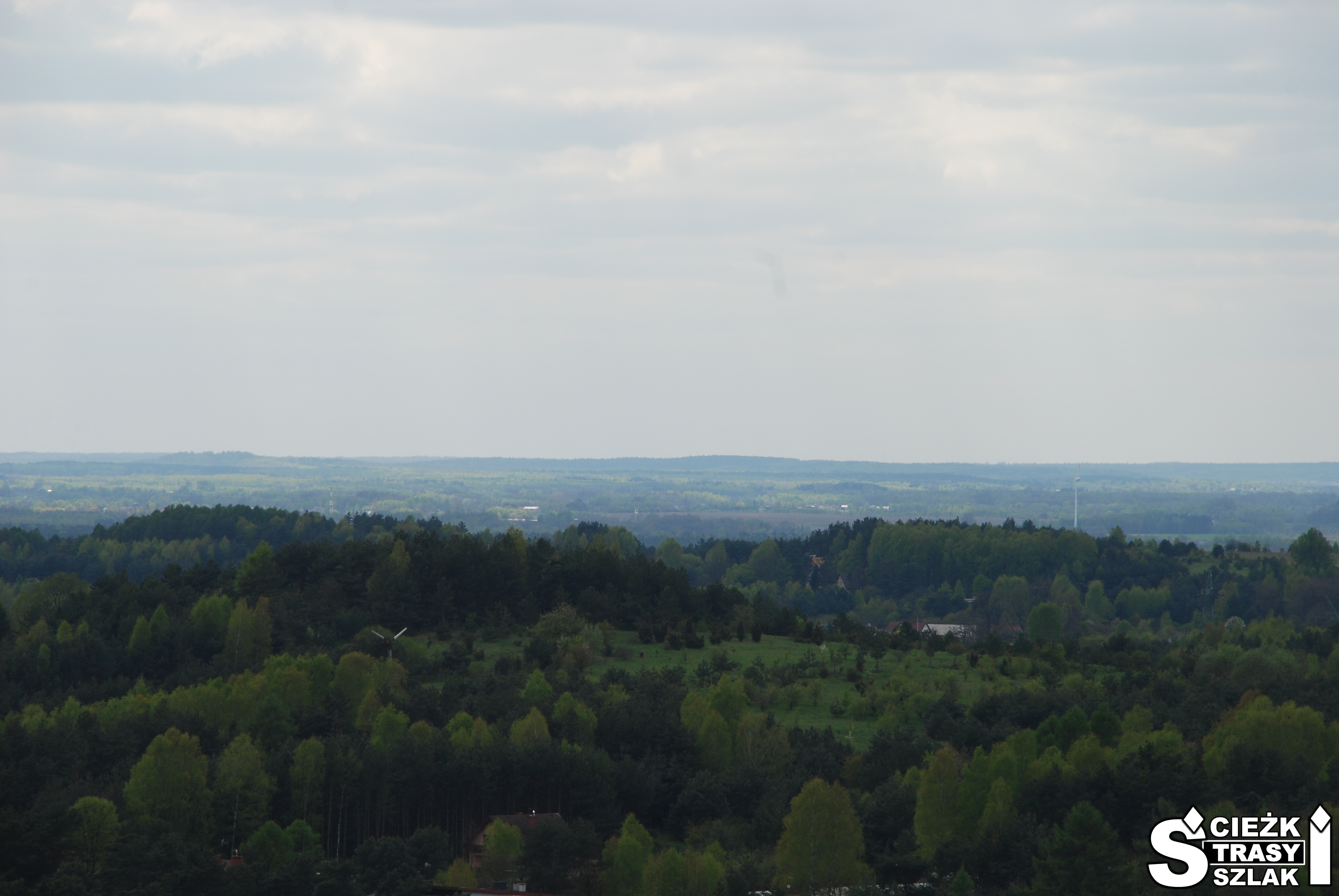 Korony drzew i górski krajobraz z jurajskimi ostańcami z punktu widokowego Zamku w Olsztynie koło Częstochowy