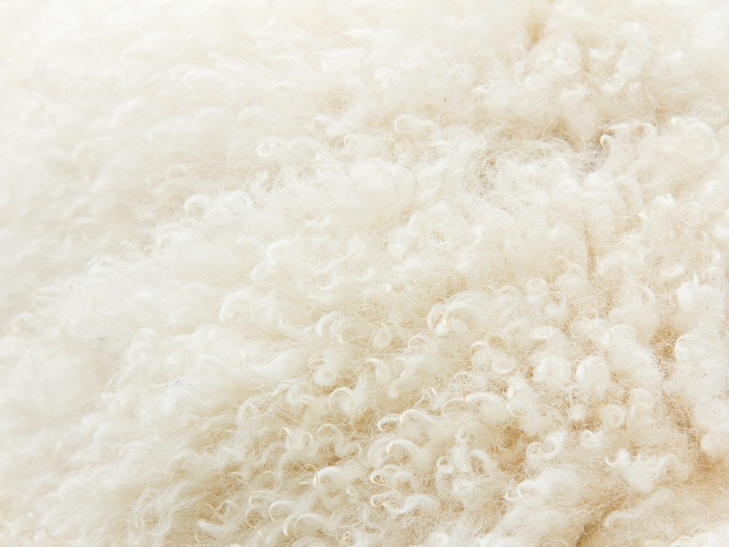 sheep's wool natural thermal insulation