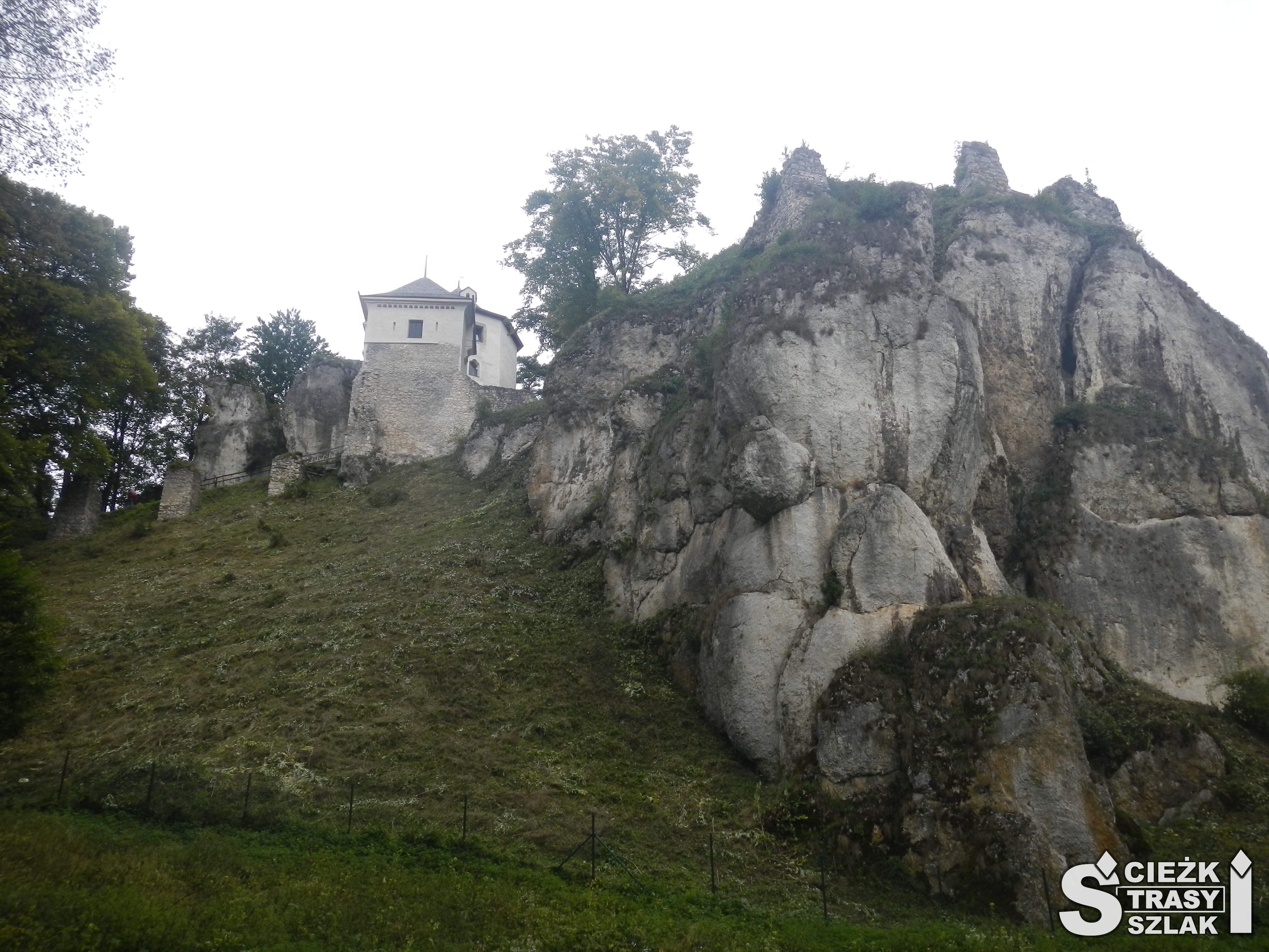 Wysokie skały wapienne z niknącymi na ich tle ruinami średniowiecznej warowni w Ojcowie