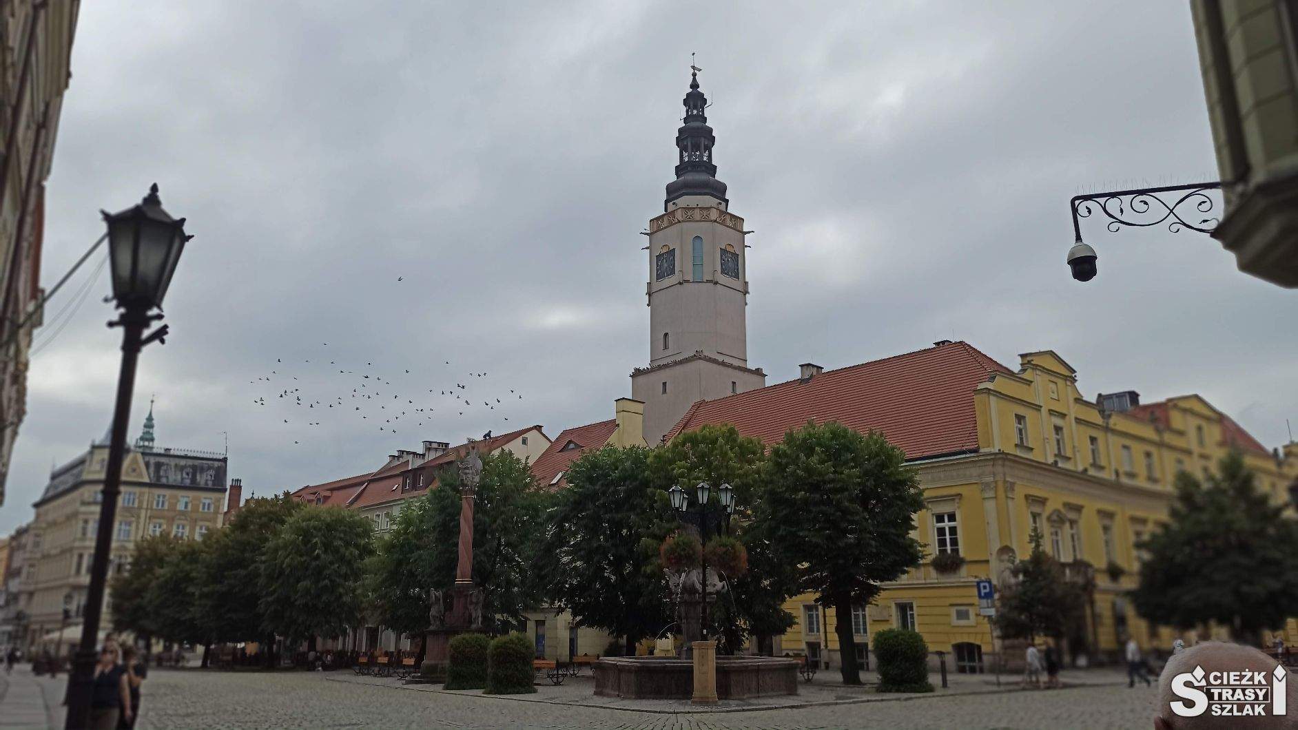 Ratusz na rynku w Świdnicy z widokiem z wieży na stare kamienice