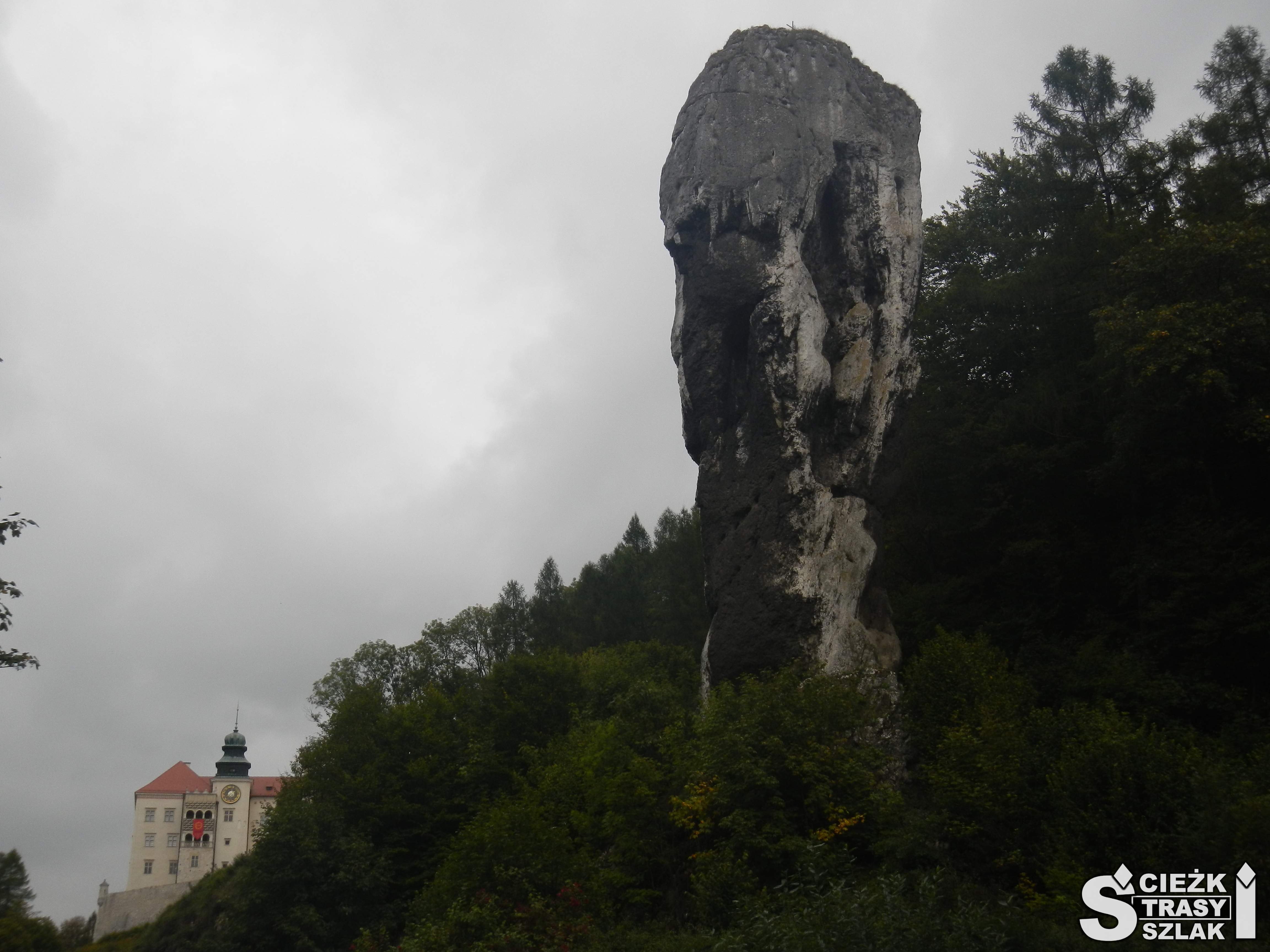 Wysoka skała wapienna przypominająca kształtem maczugę dominująca nad miniaturką zamku pieskowa