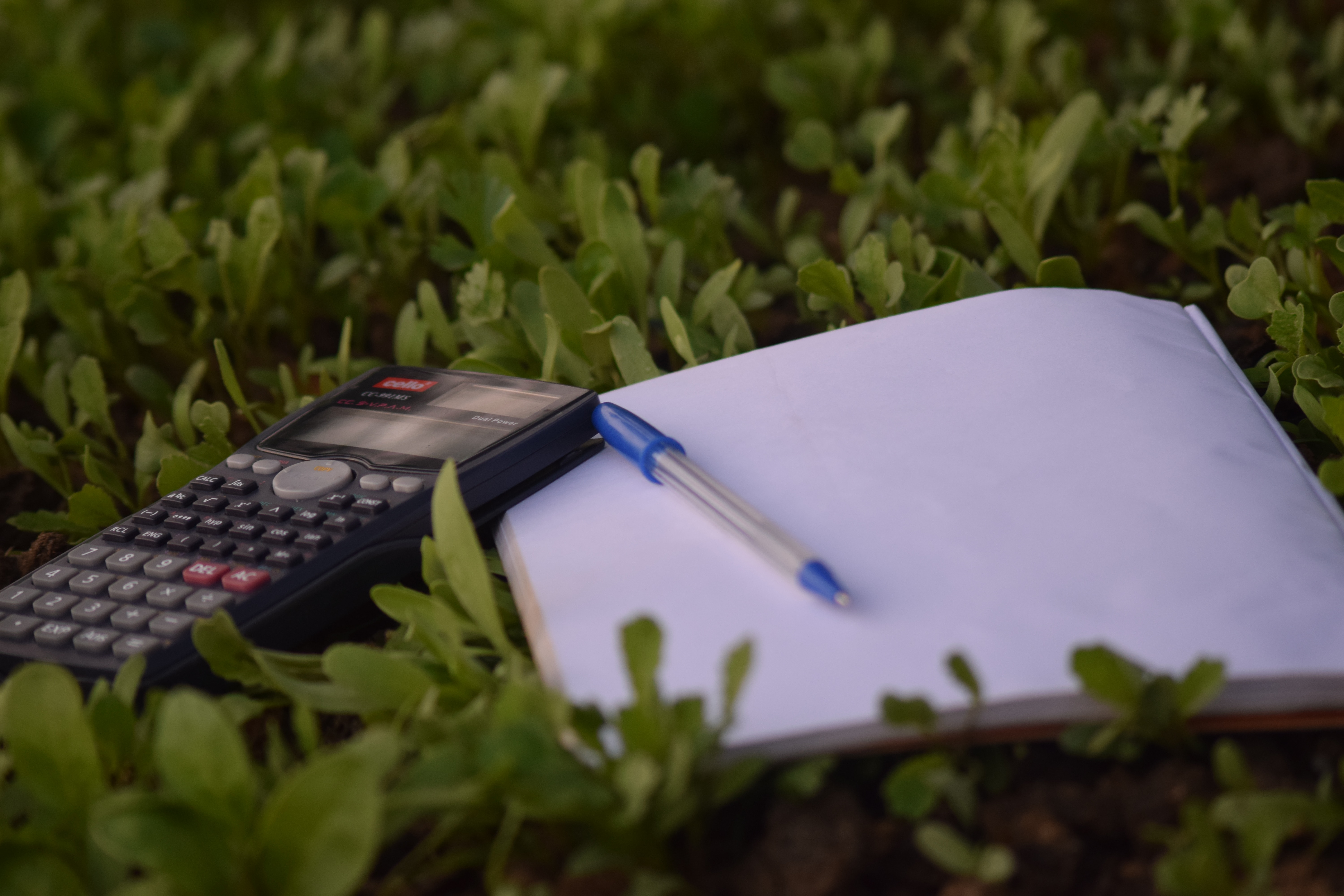 Notatki, długopis i kalkulator leżące w trawie