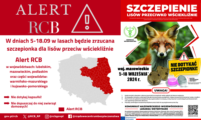 ALERT RCB szczepienie lisów.