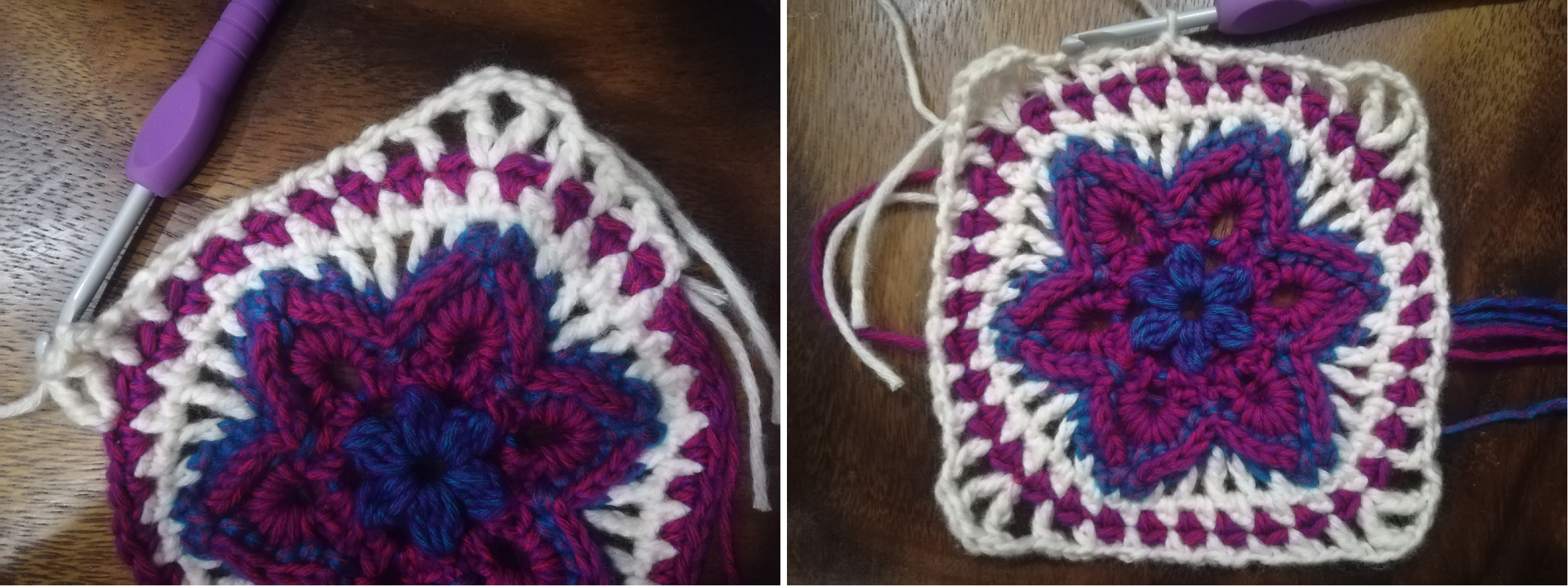 anemone granny square 8png