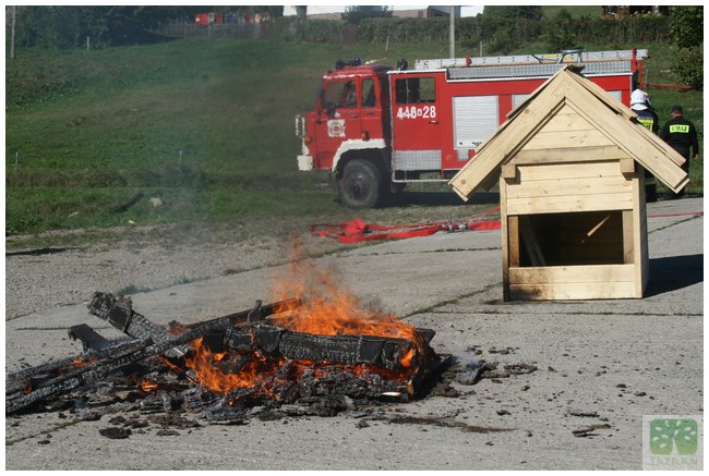 Tatran Group Ochrona Przeciwpożarowa drewna